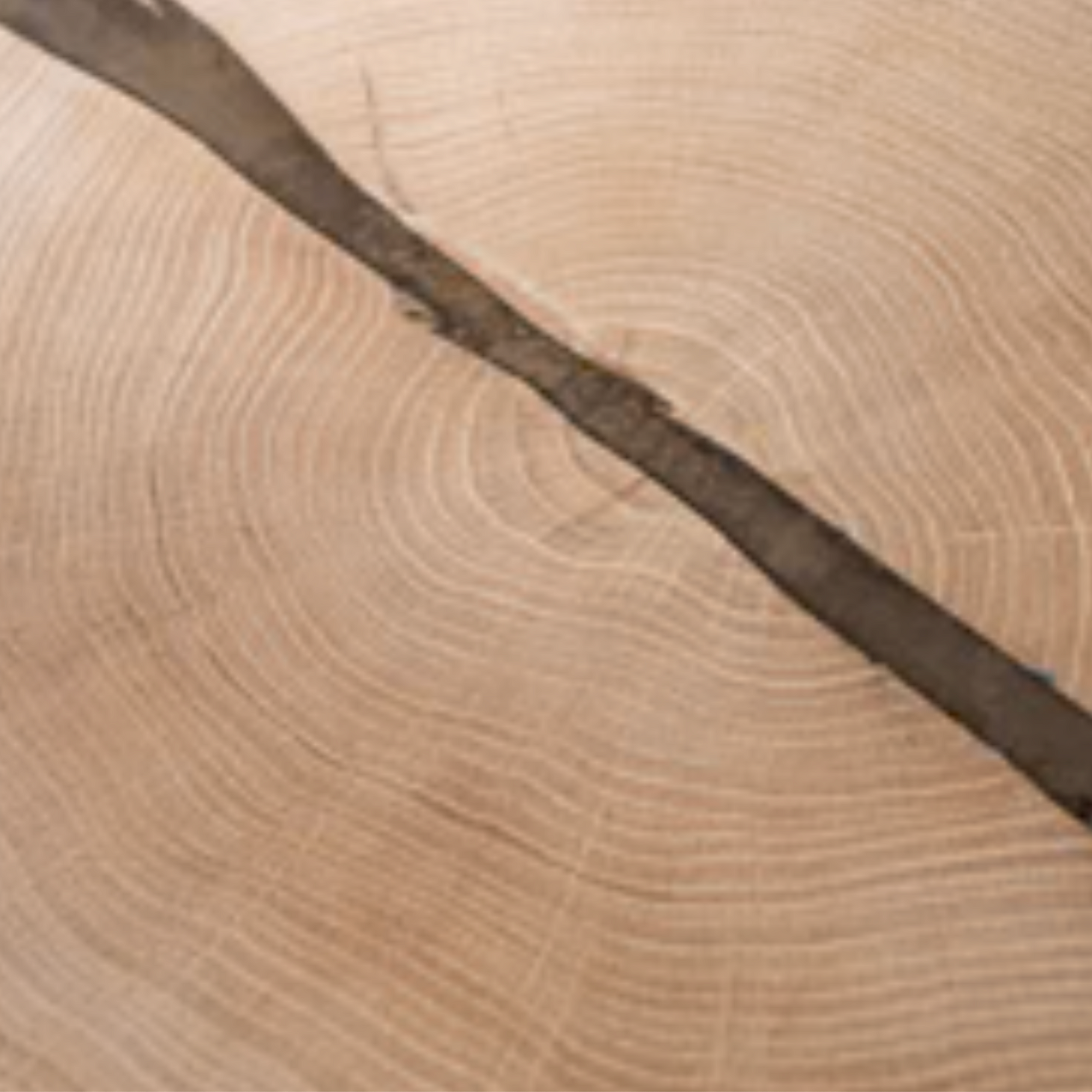 De Patron Coffee Table