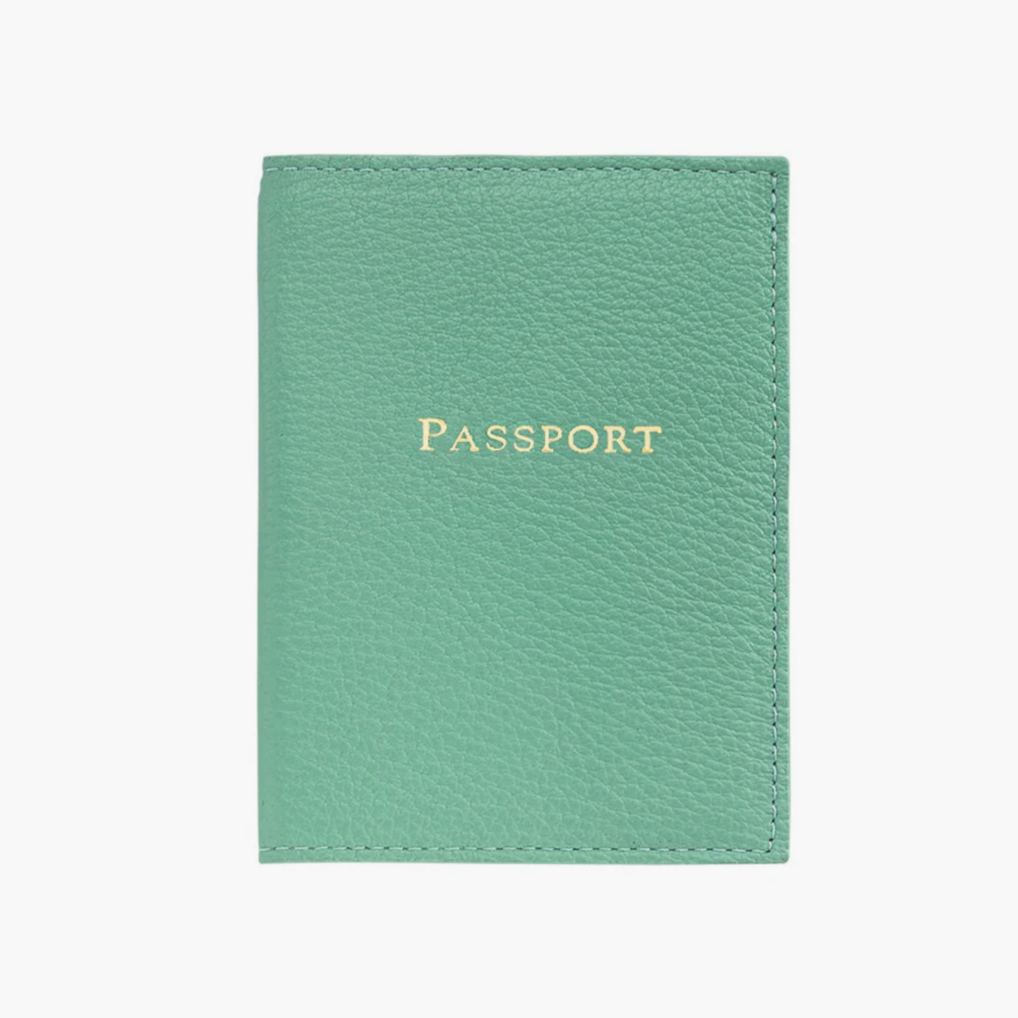 Passport Cover - Robin's Egg Blue