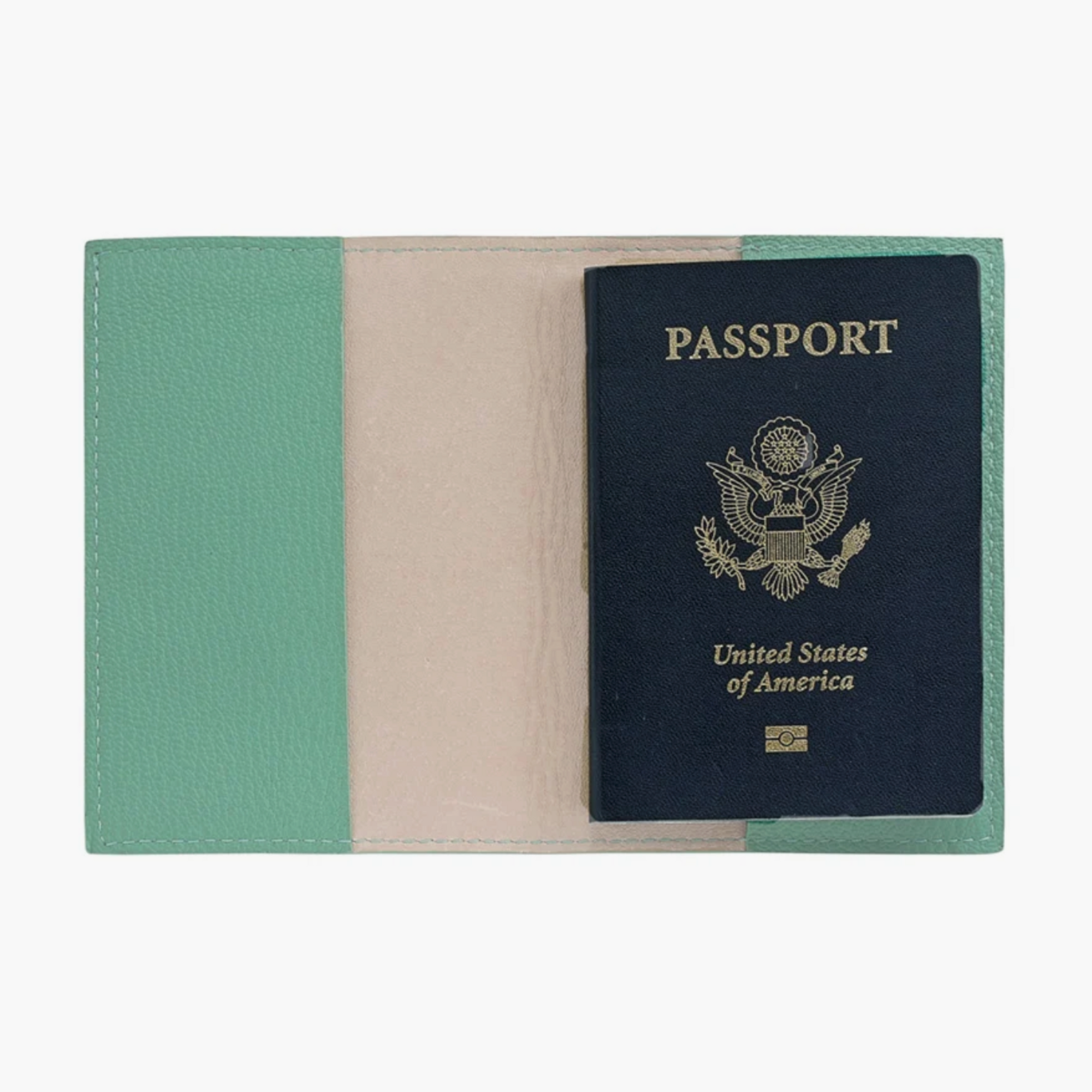 Passport Cover - Robin's Egg Blue