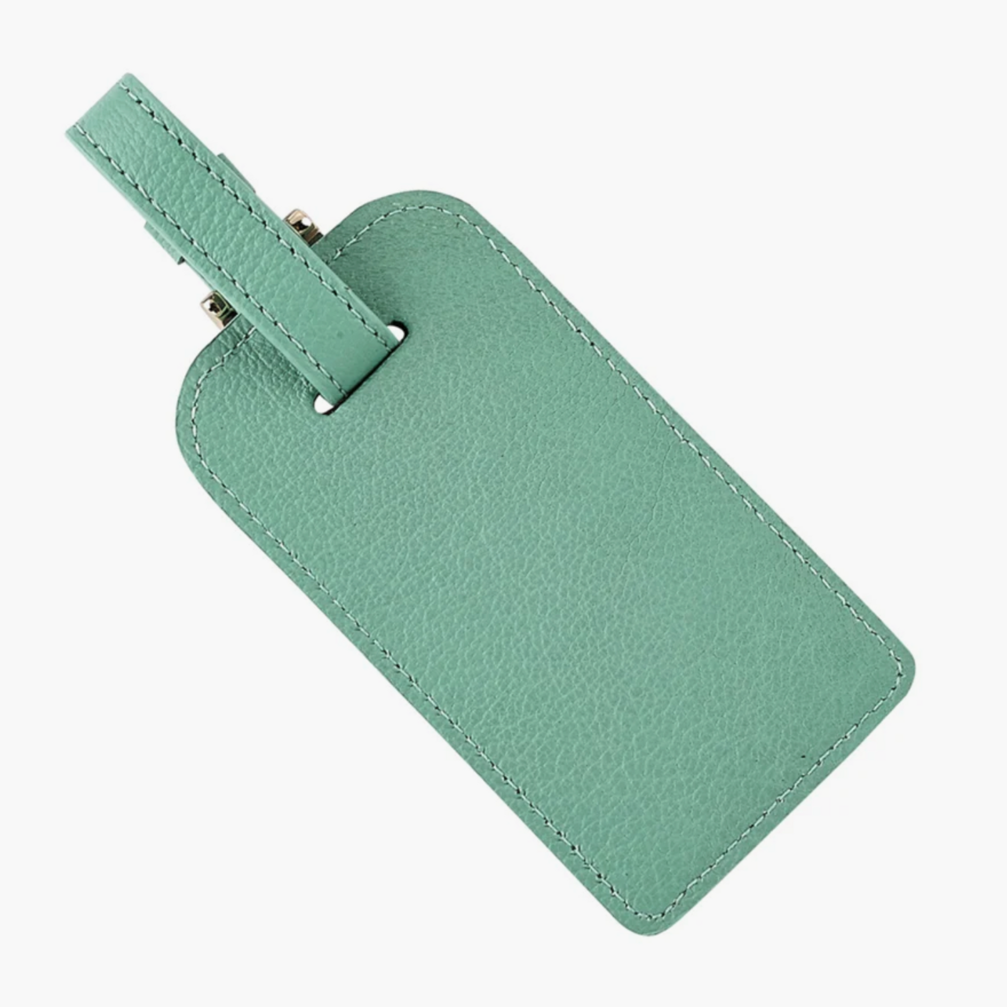 Luggage Tag - Robin's Egg Blue