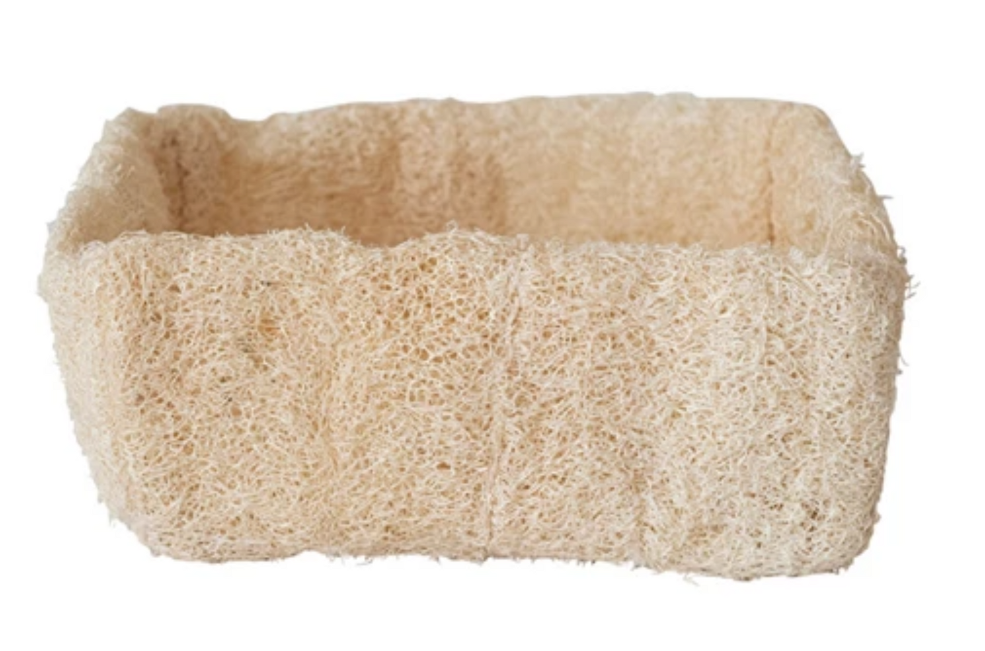 7" Square x 3"H Loofah Container