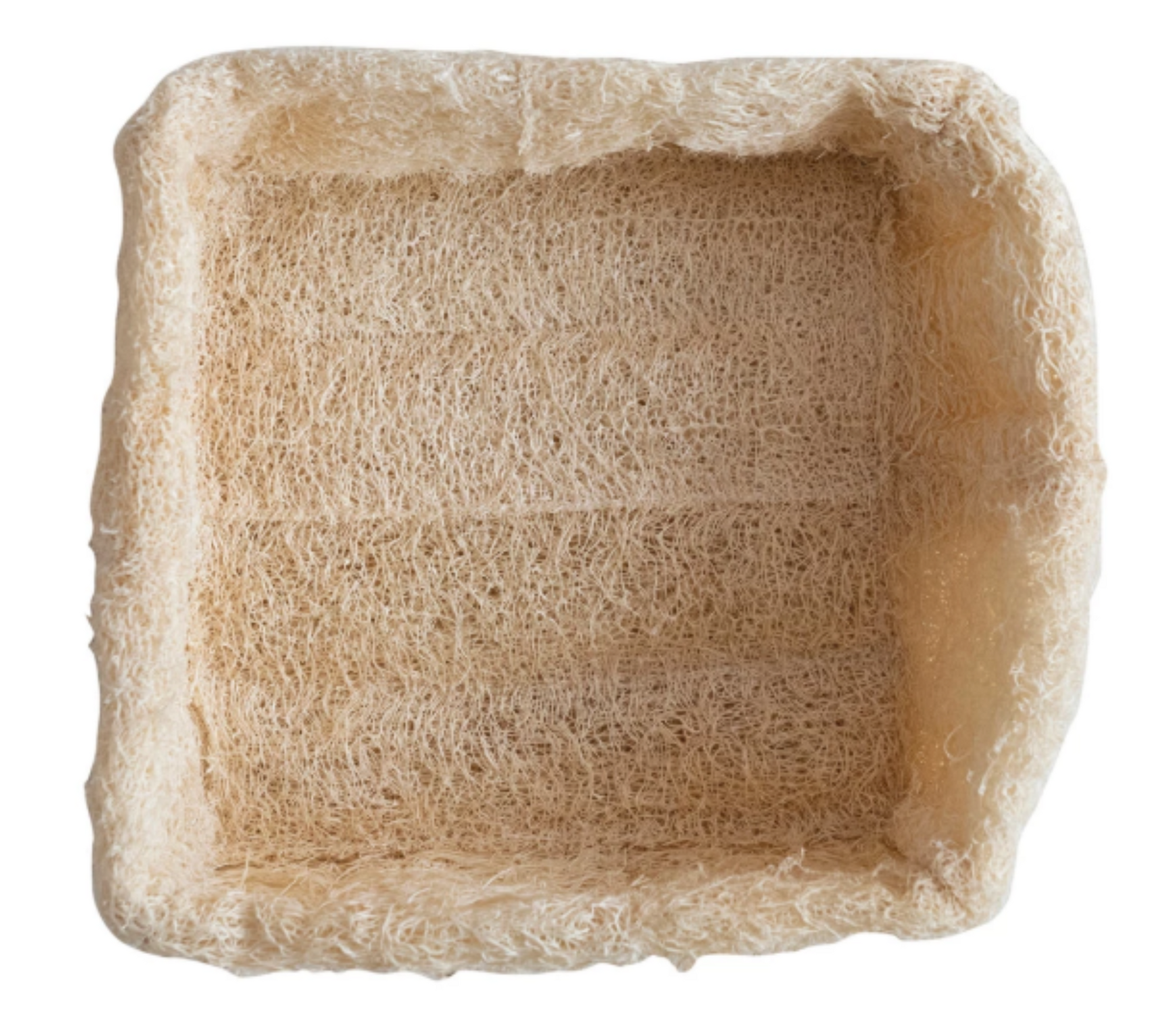 7" Square x 3"H Loofah Container