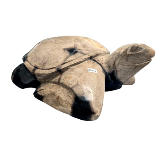 Turtle - Extra Large