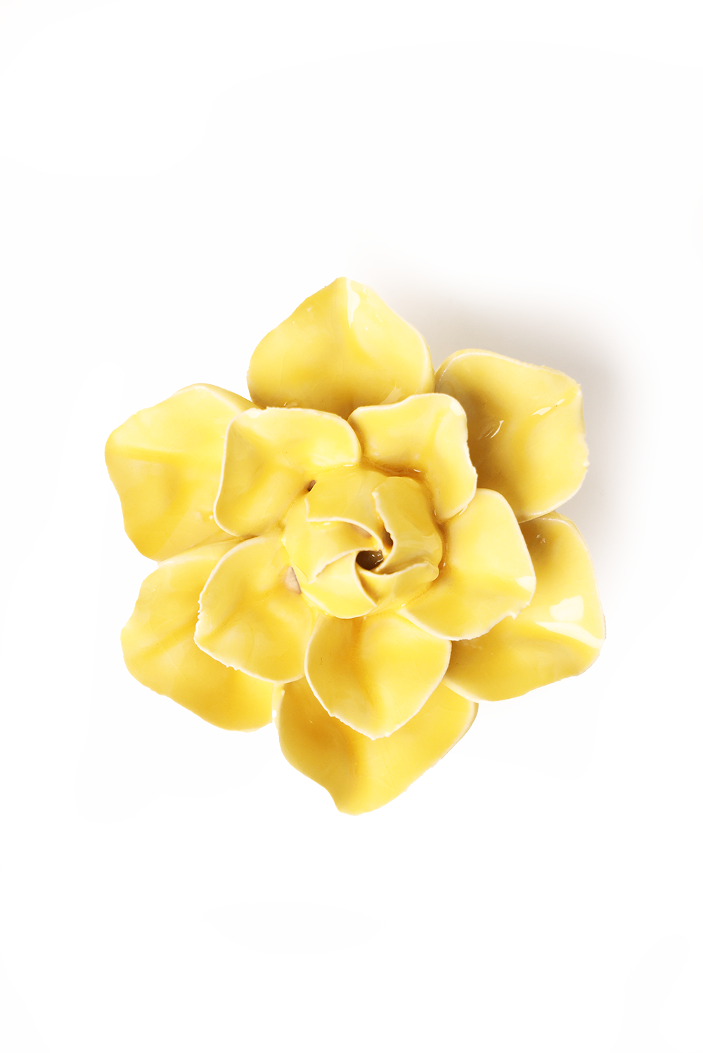 Tabletop Gifts: Ceramic Flowers  Yellow Daffodil
