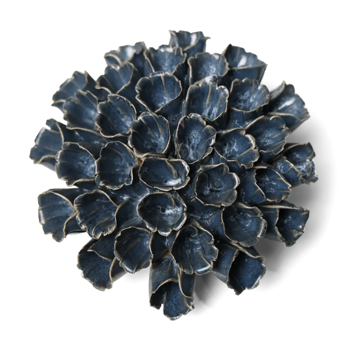 Sea Polyp Blue Grey Beach Coastal  Boho Best Boxed Gifts