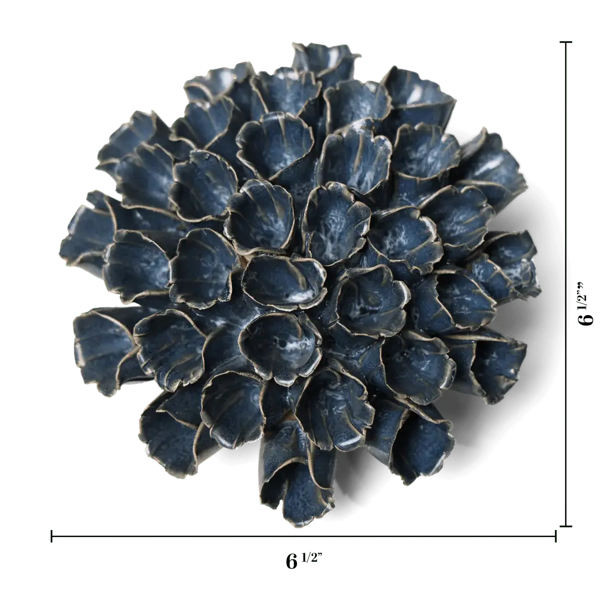 Sea Polyp Blue Grey Beach Coastal  Boho Best Boxed Gifts