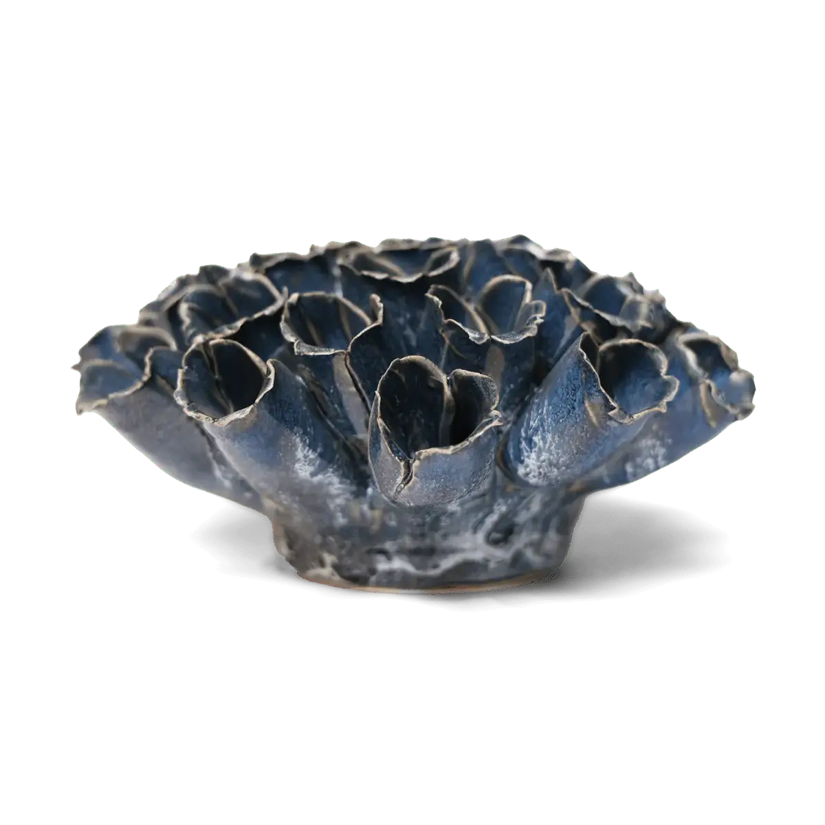 Sea Polyp Blue Grey Beach Coastal  Boho Best Boxed Gifts