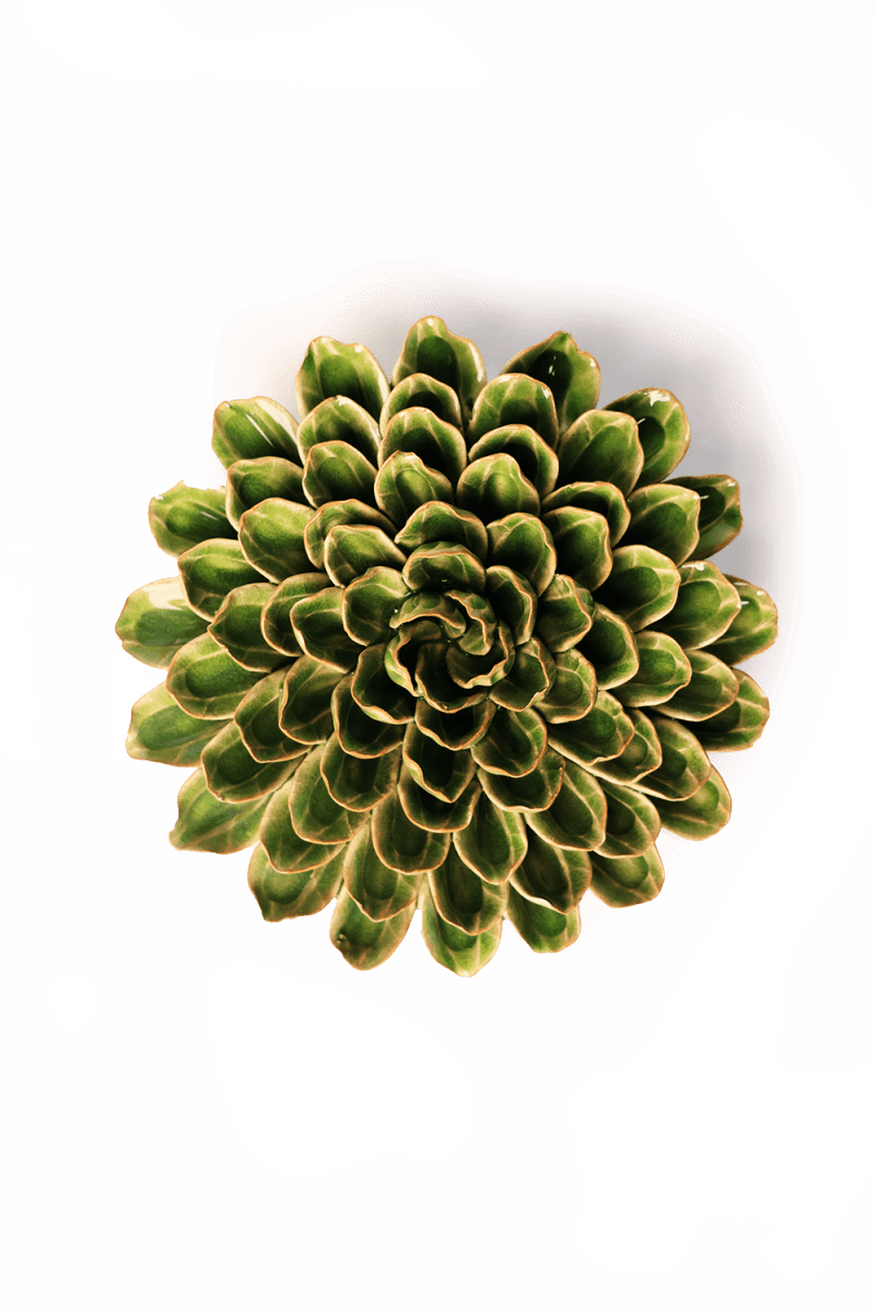 Zinnia Botanical Pottery tabletop With A Pretty Gift Box
