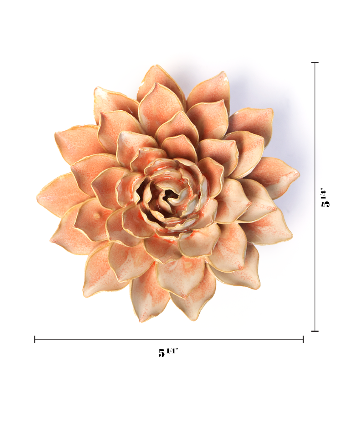 Peach Pink Azalea Flower Wall Backdrop - Coastal Decor Gift