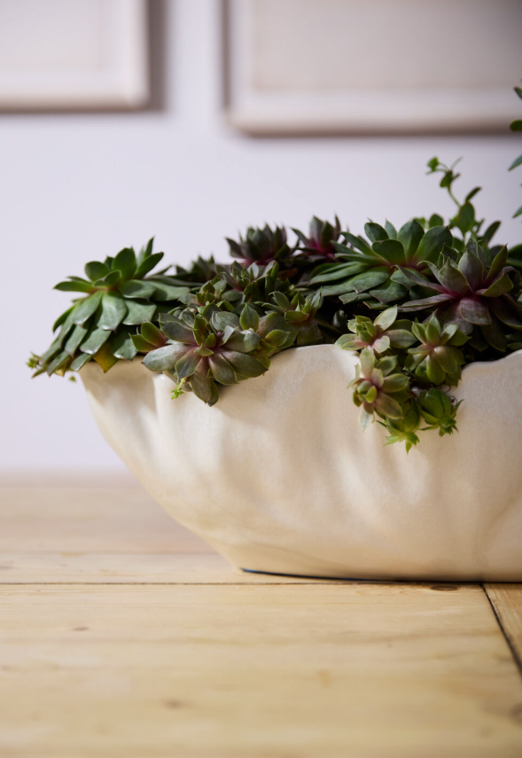 Coastline Trough 23.25&quot;x 7.75&quot;x 5.5&quot;