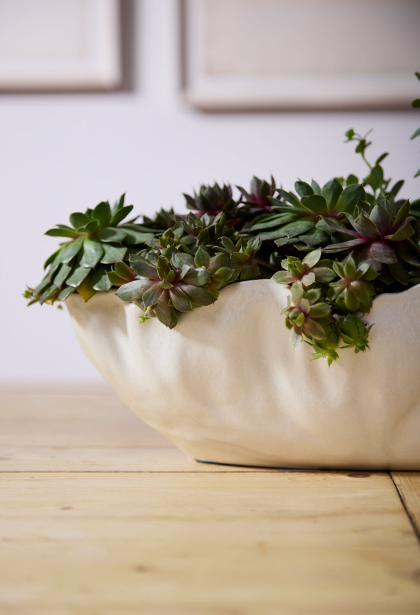 Coastline Trough 23.25&quot;x 7.75&quot;x 5.5&quot;