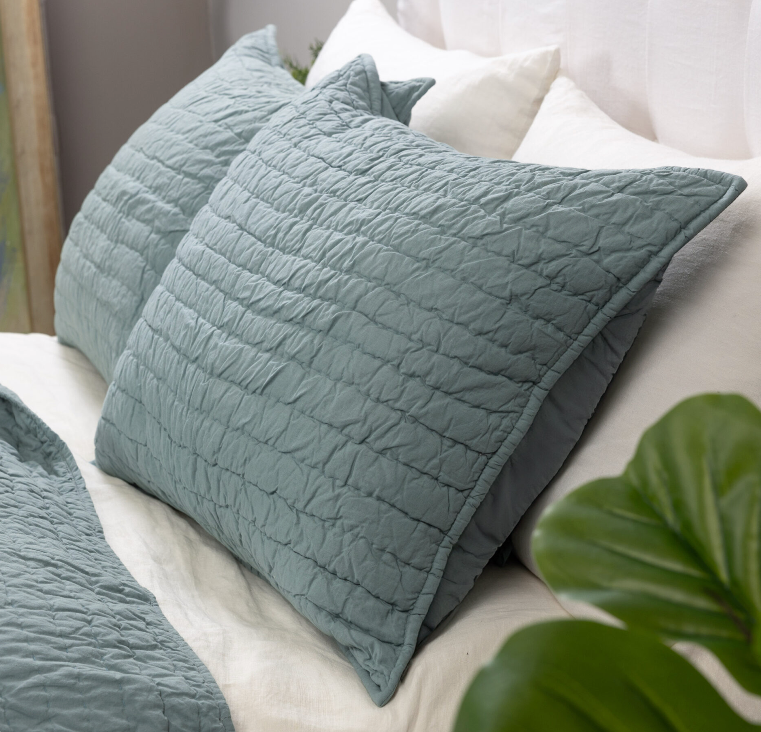 Base Camp Sham, Mineral, Standard