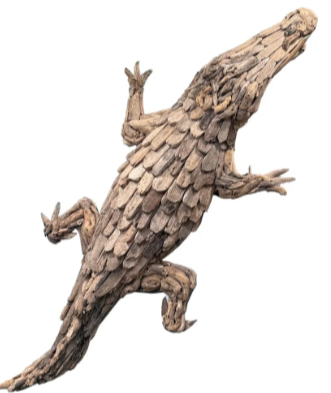 Driftwood Crocodile Wall Sculpture