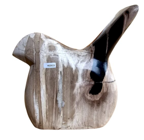 Petrified Bird Sculpture