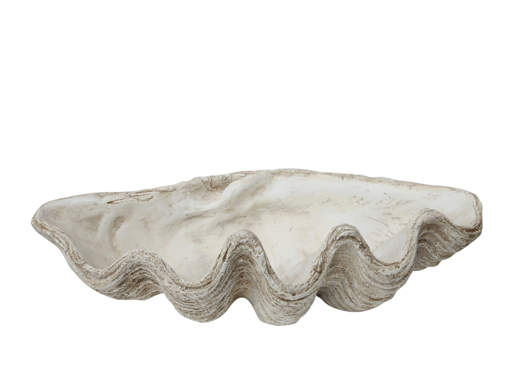 Magnesia Seashell Decor
