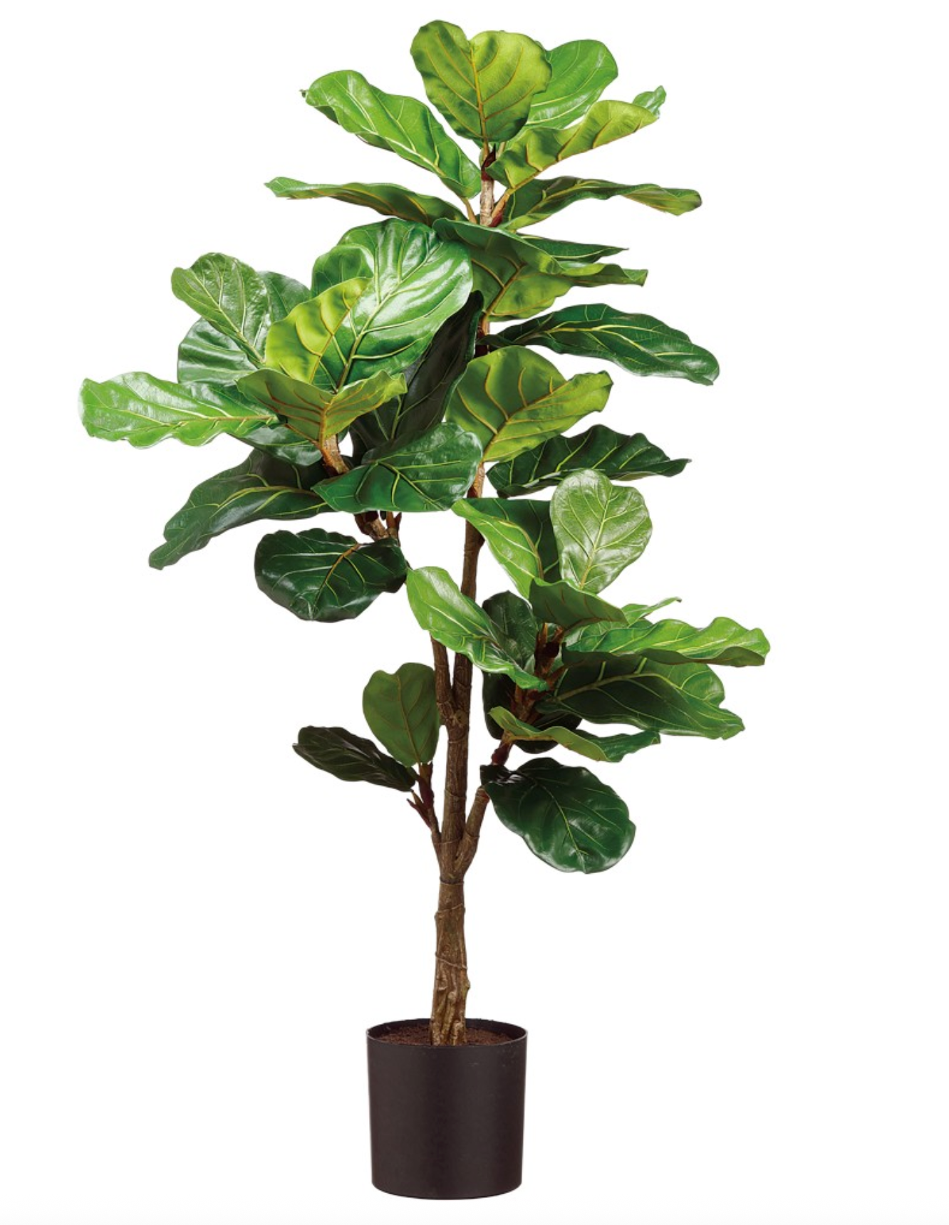 47.25" Potted Fiddle Leaf Tree