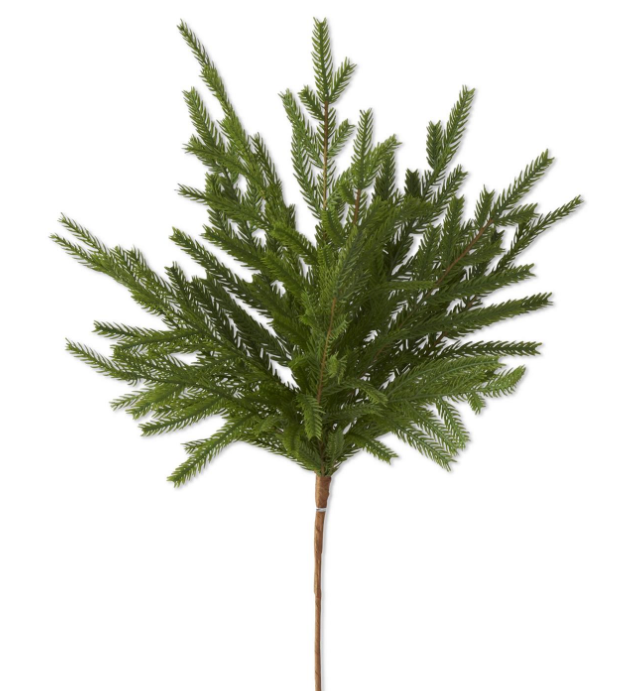 19 Inch Real Touch Norfolk Pine Stem