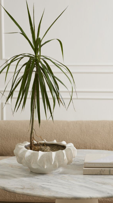 Isandro Bowl