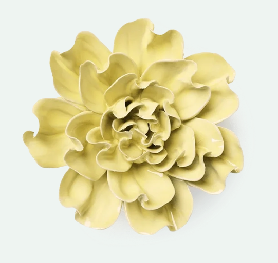Lime Yellow Larkspur