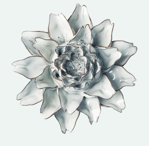 Blue White King Protea