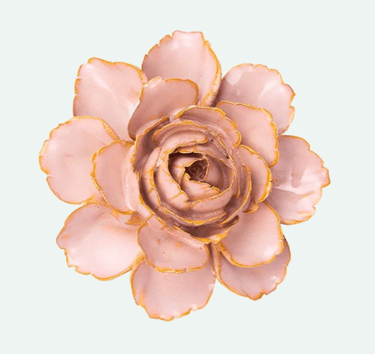 Rose Pink Camellia