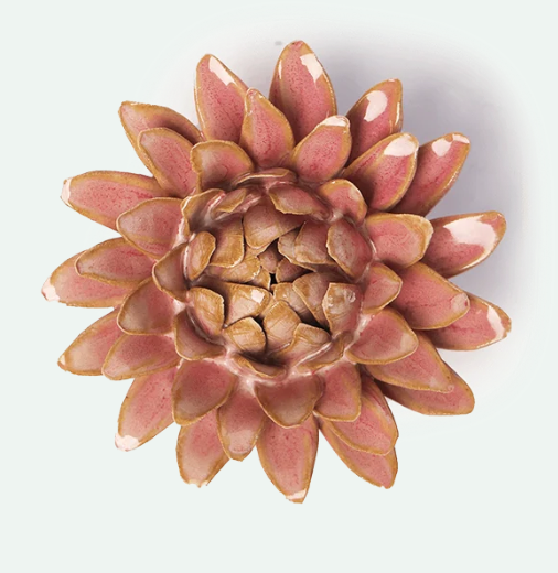 Rose Quartz Pink Strawflower