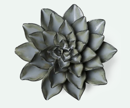 Grey Goyet Azalea