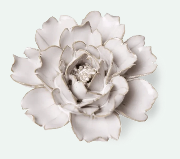 Ivory Rose
