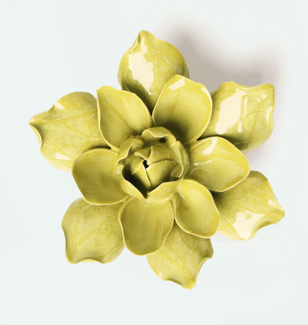 Chartreuse Columbine *