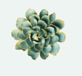 Robin's Egg Blue French Marigold