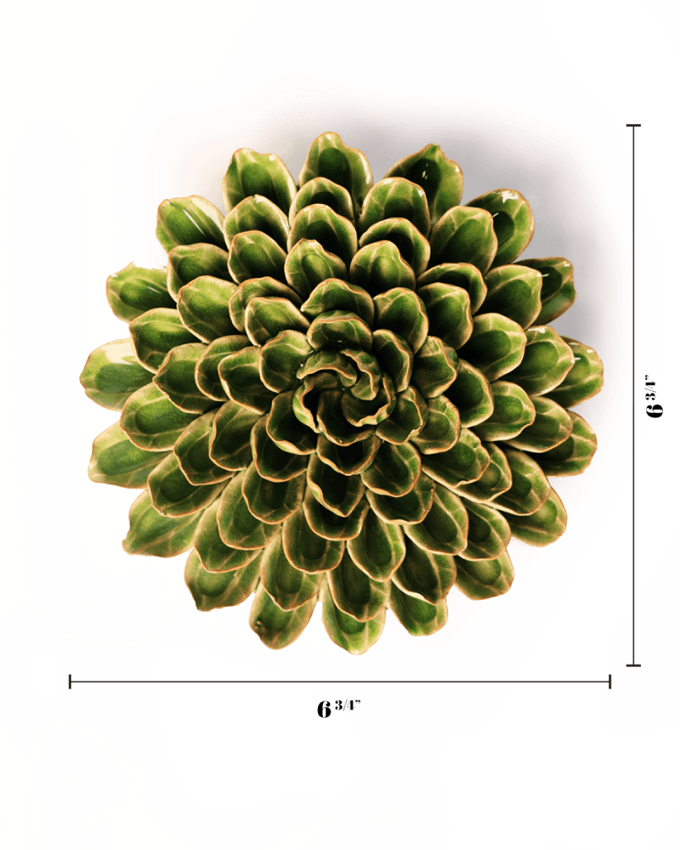 Zinnia Botanical Pottery tabletop With A Pretty Gift Box