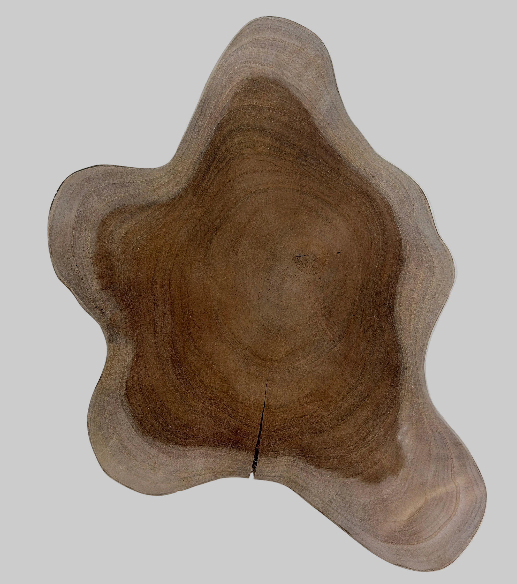 Teak Slice-Small