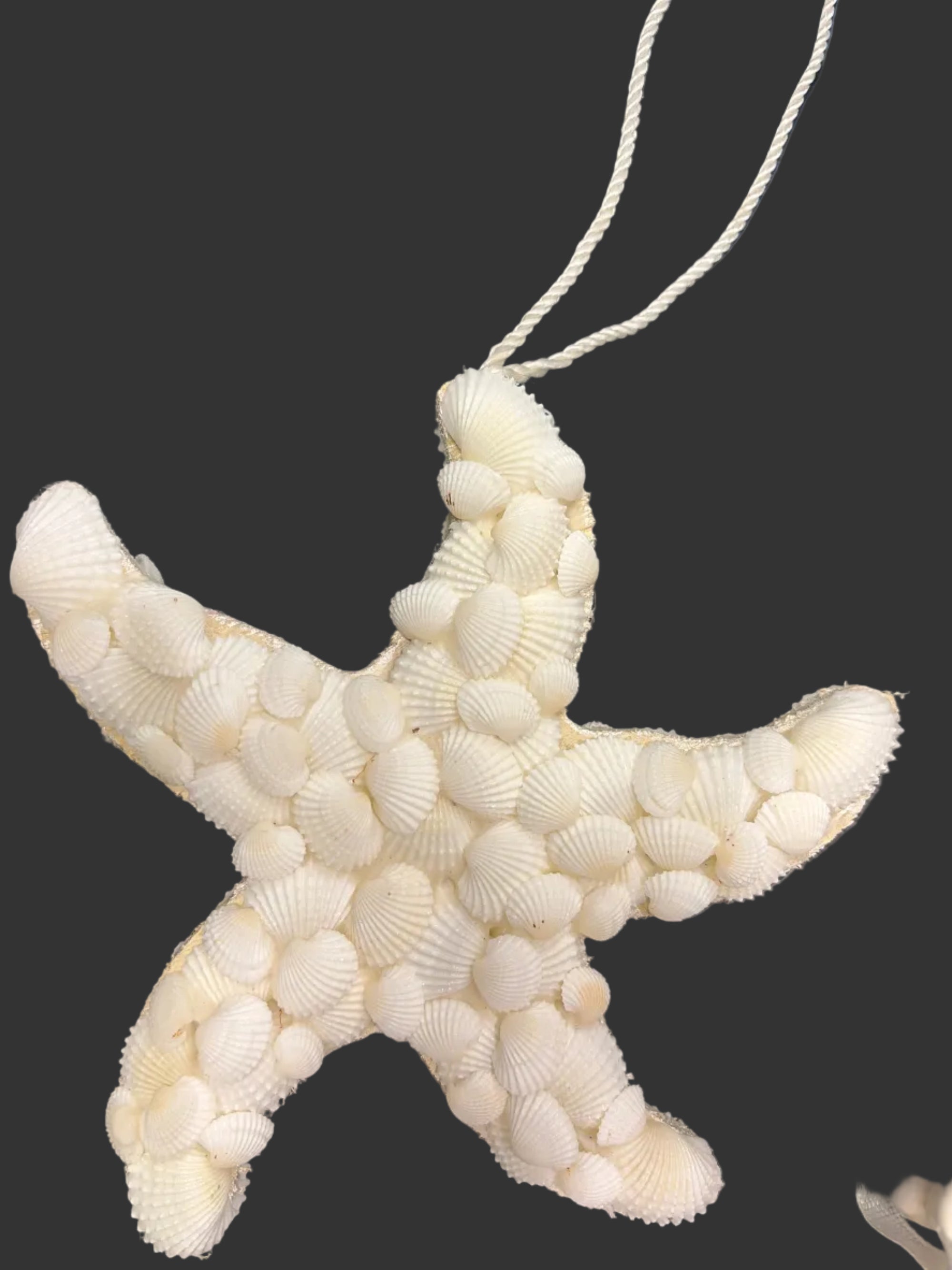 Starfish Ornament