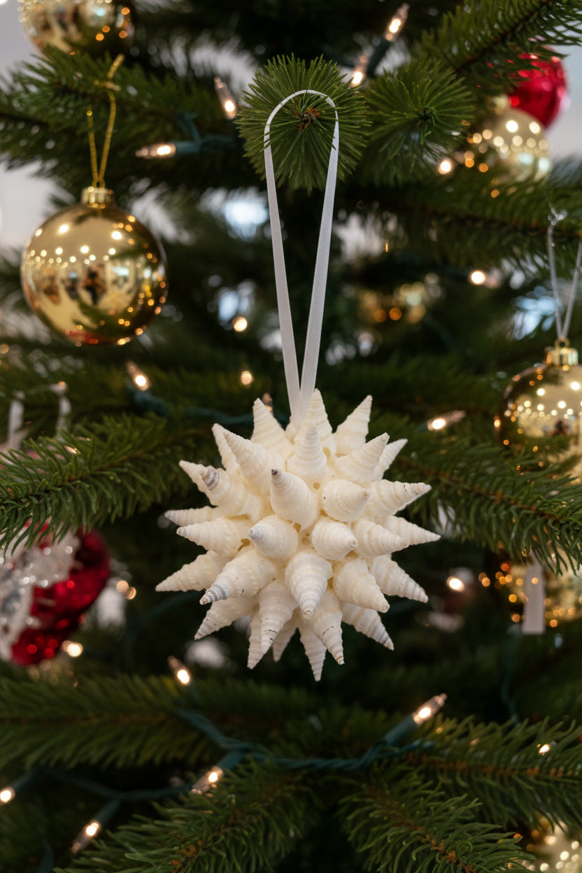 Turrid shell ball ornament